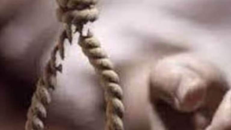 FANSI125527 1720035020 1720035020 1723787252763