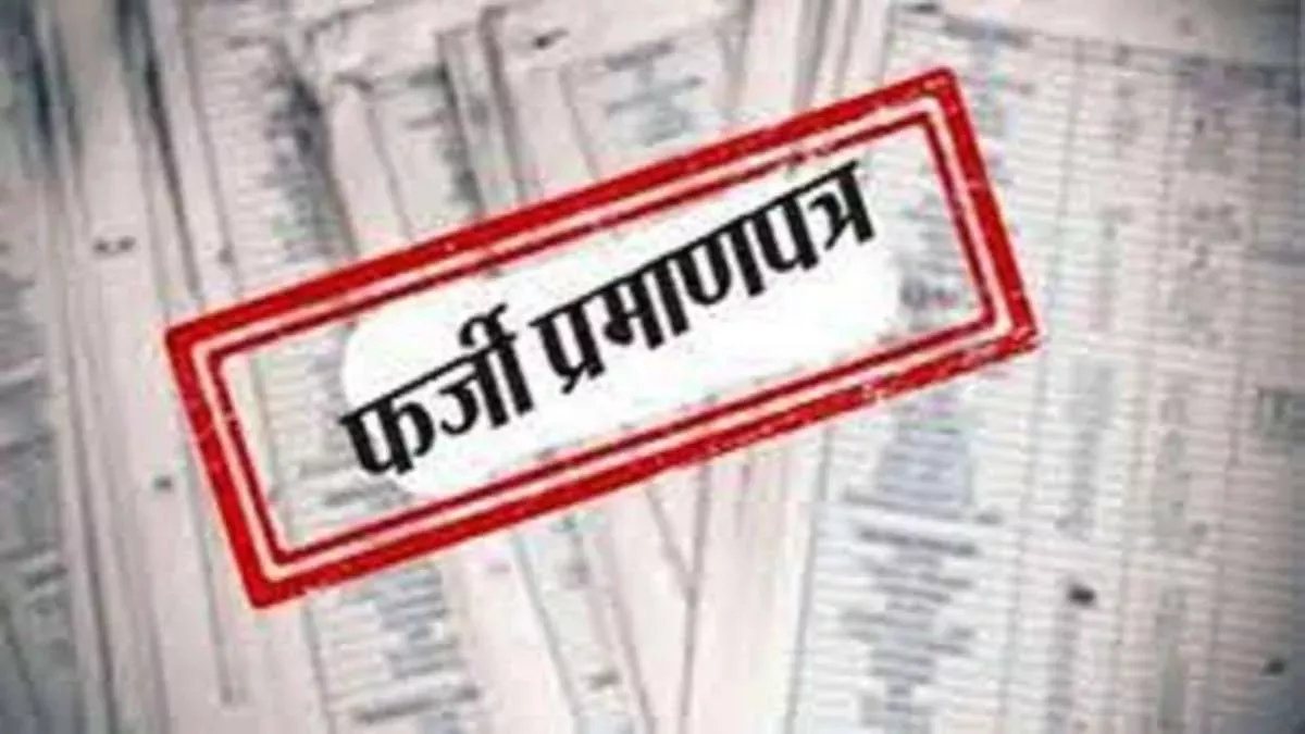 29 12 2023 10 11 2022 fake caste certificate 23195793 0375636 23616399 10413011