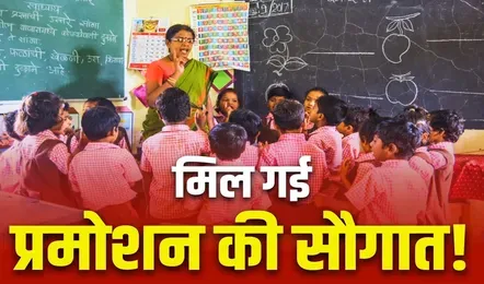 ibc24 thumbnail 18 V jpg 442x260 4g