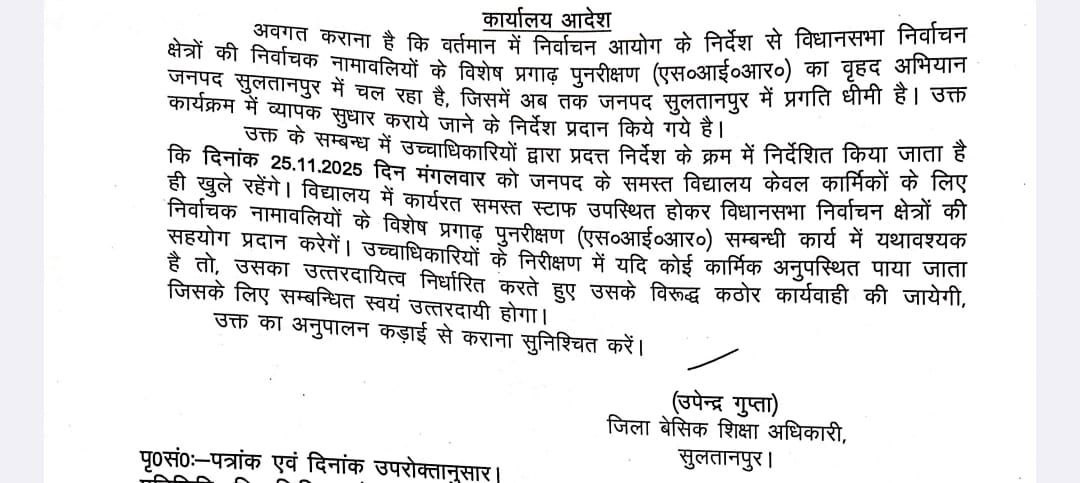 photo 6133954232546169267 y 1