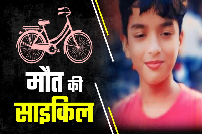 768 512 23053958 thumbnail 16x9 nar