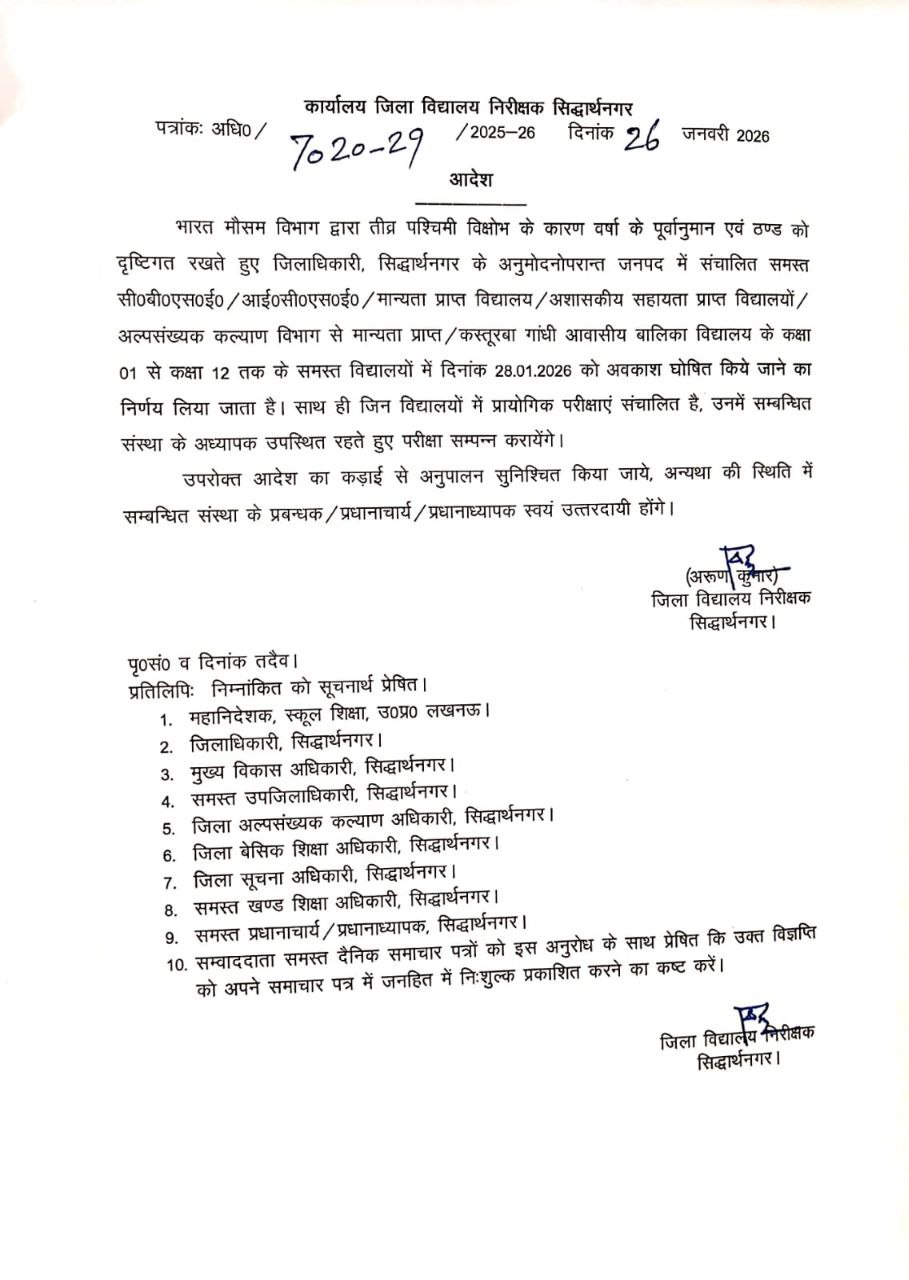 photo 6321117413973364549 y