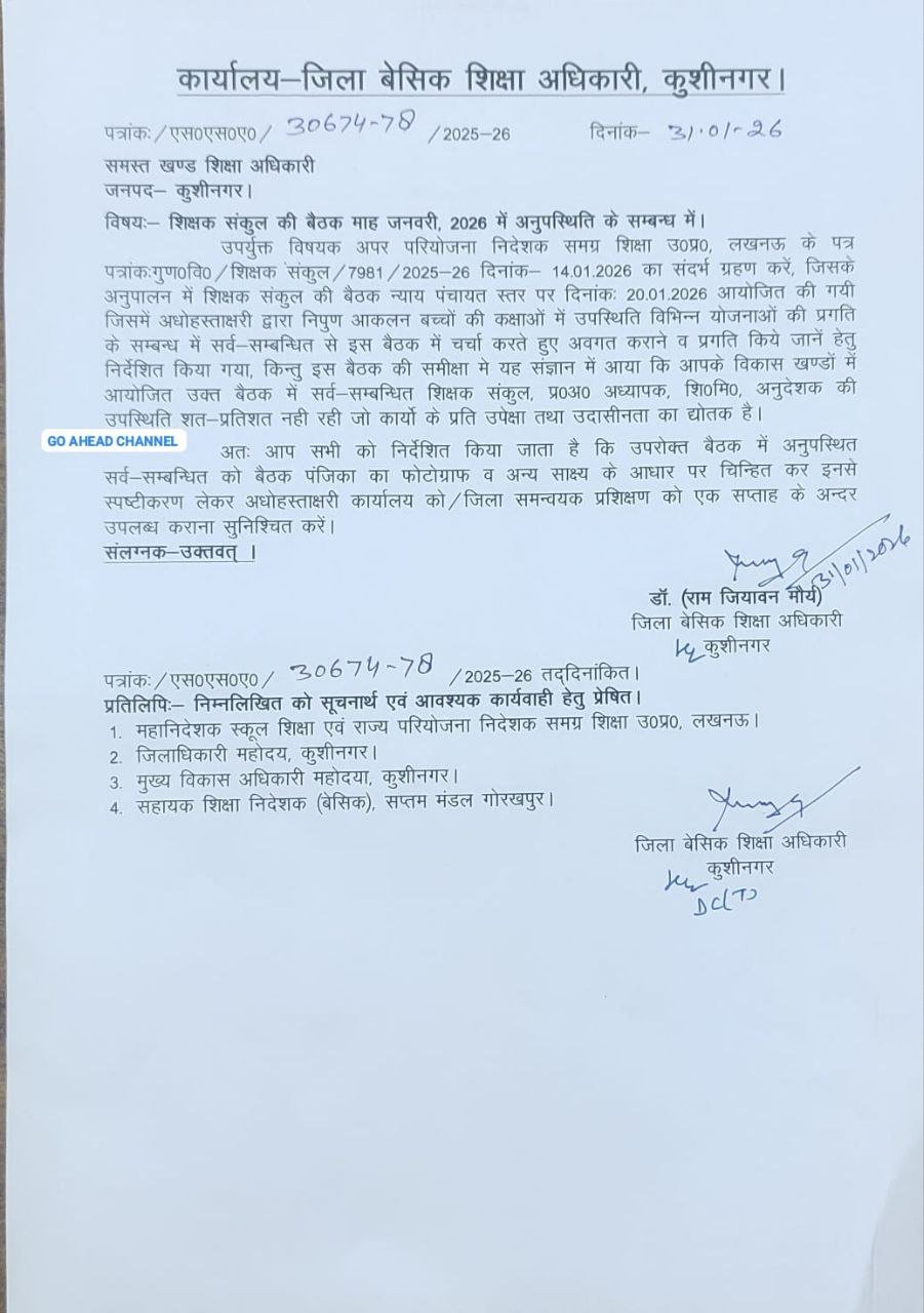 photo 6338852205816909516 y