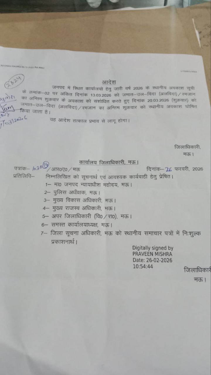 photo 6188405664716099280 y