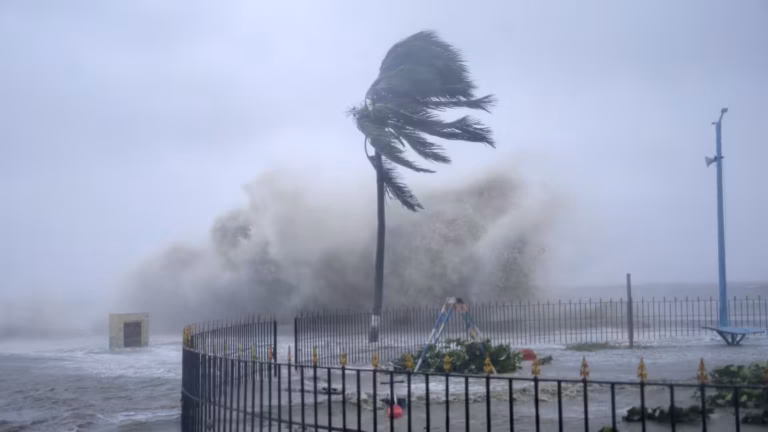 weather forcaste
